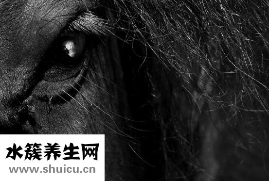 胰腺瘤该怎么办