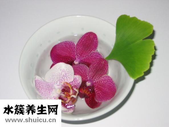银杏中毒怎么办