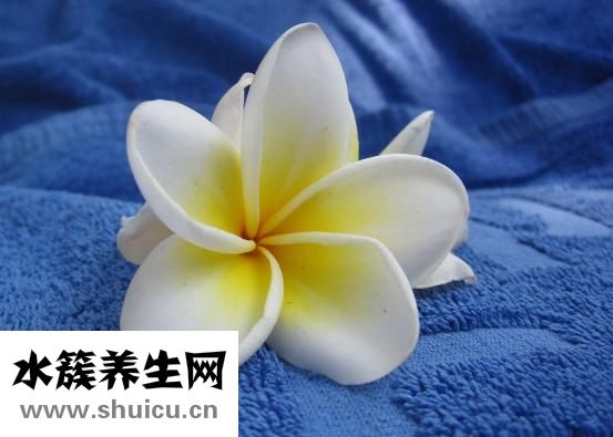 脚脖子存筋了怎么办