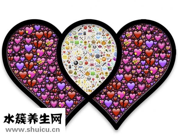 水准点怎么复核