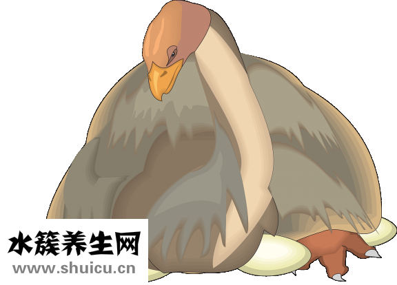 孕妇怎么吃不长肉