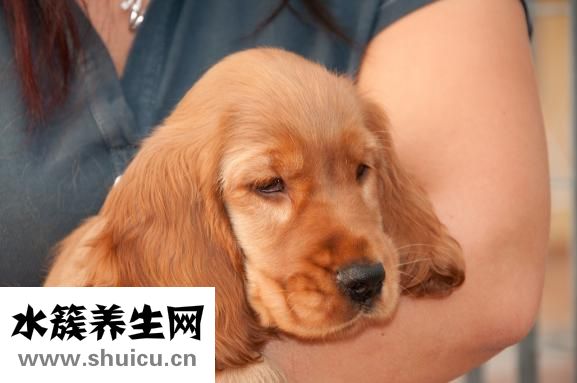 怎么知道划破食道管