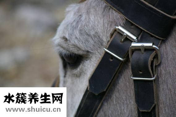 耳朵内疼痛怎么办