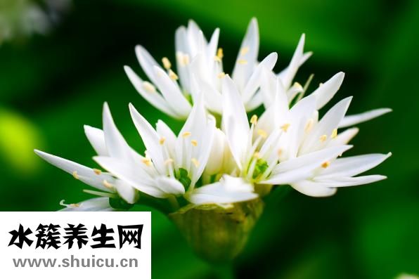 神经性头疼怎么根治