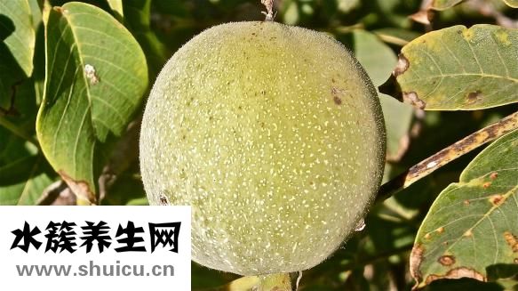 申宫天孤星怎么破解