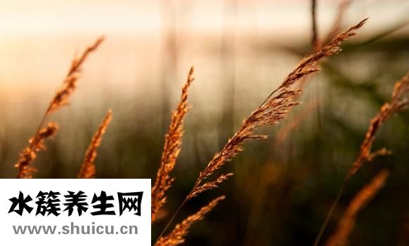 紧张心慌怎么办