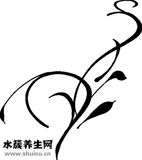 豉油大虾怎么做