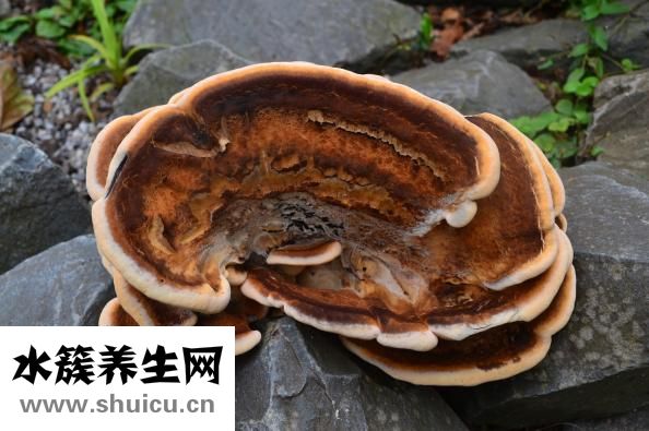 蘑菇街怎么看晒货