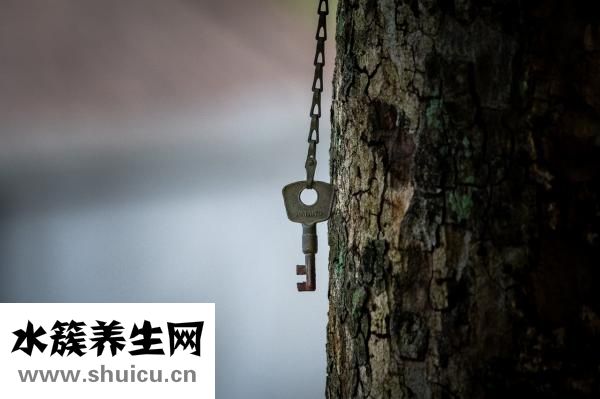 散景怎么画