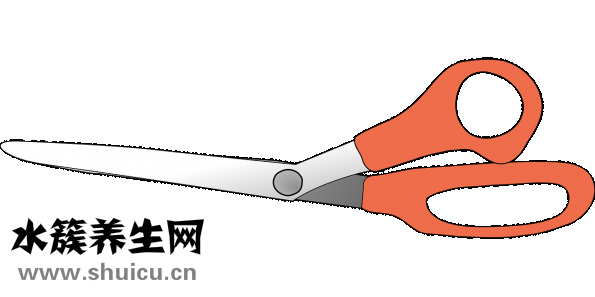 螃蟹怎么刷