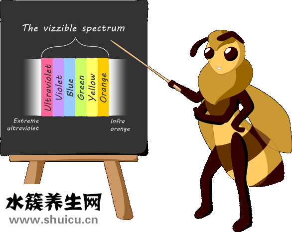 老师和学生怎么了