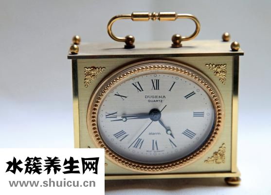 鸭子怎么孵蛋