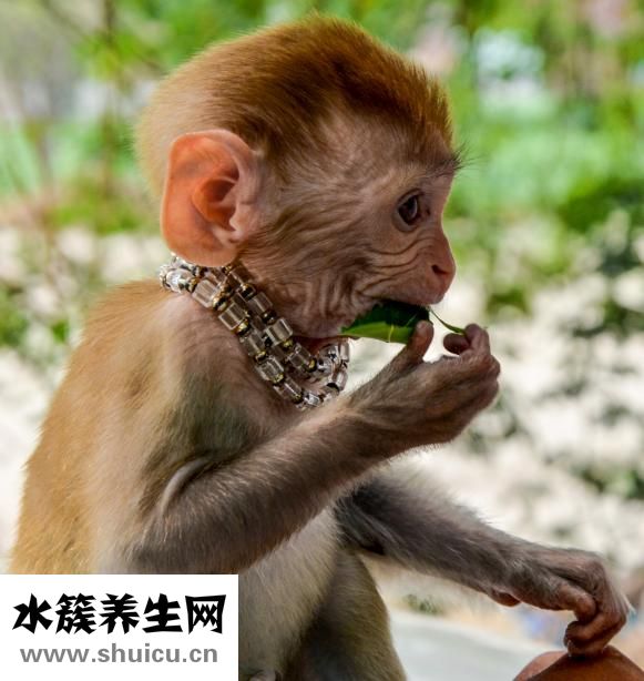 宝贝失效了怎么办