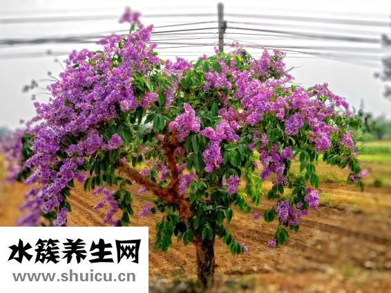 怎么还不爱