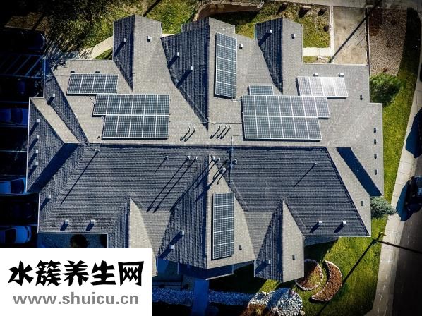 猪皮膏怎么用