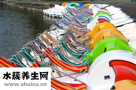 没跑了怎么办