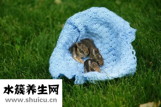 新生儿有马牙怎么办