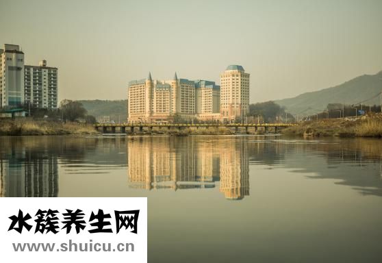 雨心怎么养