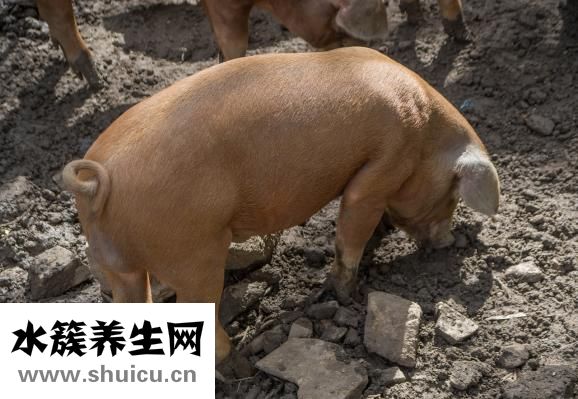 壁报怎么做