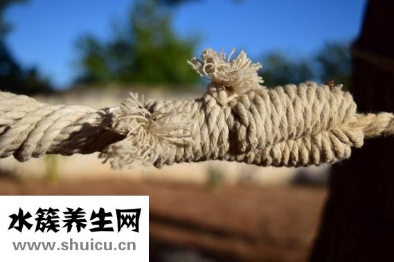 怀孕便秘该怎么办