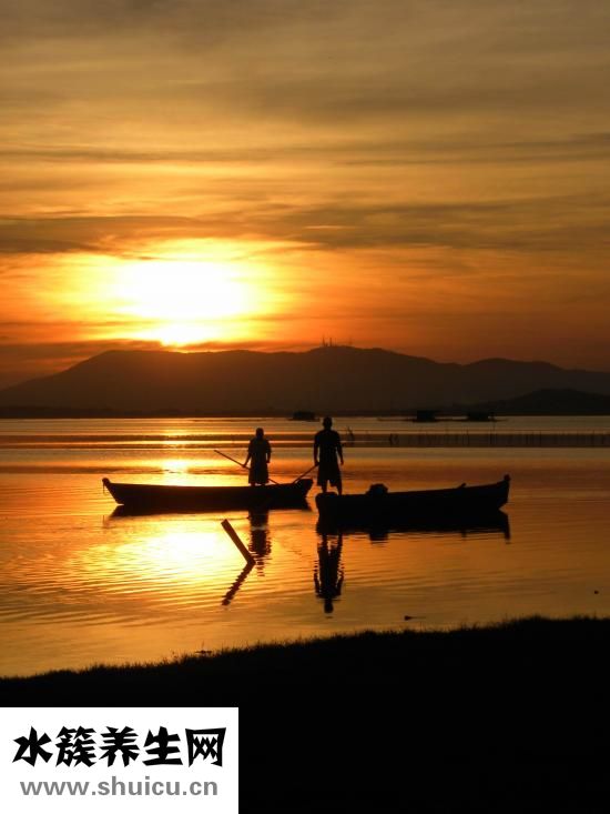 子宫虚是怎么形成的