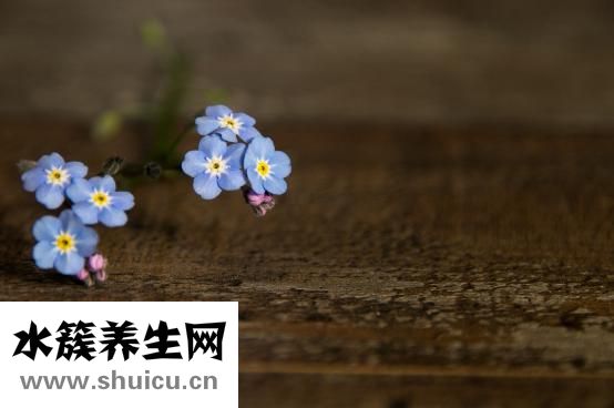 眉毛纹太粗怎么修