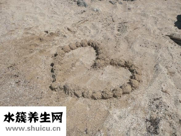 水准点怎么复核