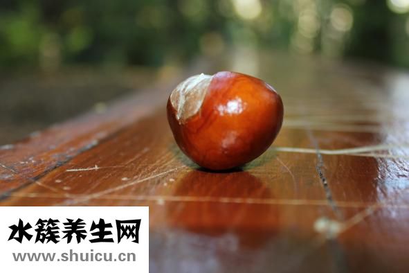 板栗刺在手里怎么办