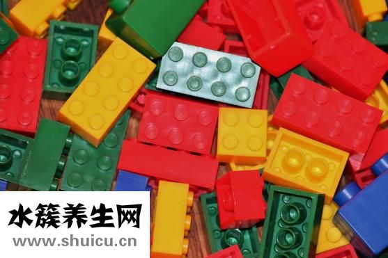 怎么看萨摩耶的年龄