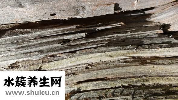 怀孕便秘该怎么办