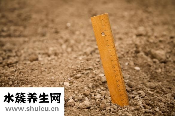 老公很幼稚怎么办