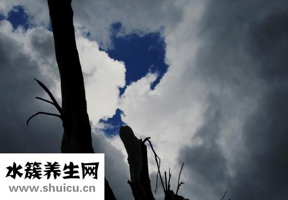 眉毛纹太粗怎么修