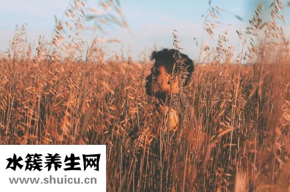 意志力薄弱怎么办