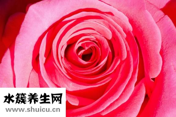天生黄头发怎么回事