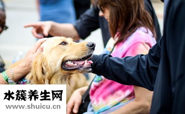 怎么看狗狗蛔虫吗