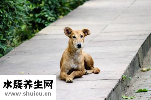 怎么自己堕胎