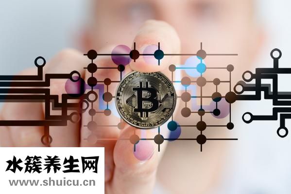 怎么看猫咪是否怀孕