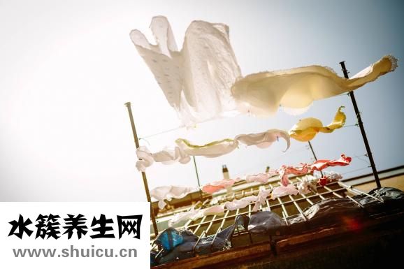 衣服怎么会生虫