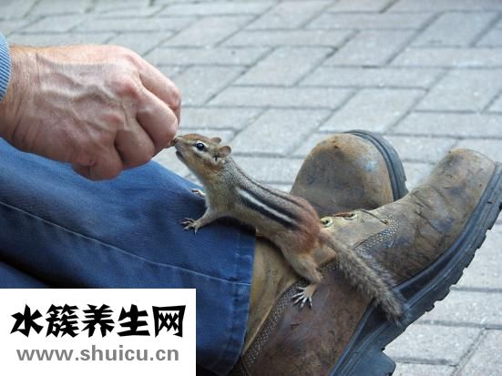 花生芽怎么做