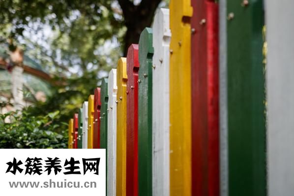 瑾五笔怎么打