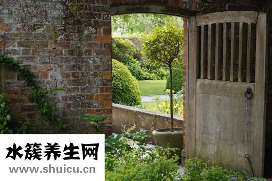 孩子怀的低怎么办
