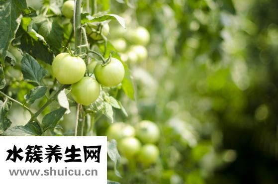 黄皮肤怎么美白