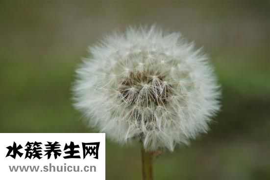 野五笔怎么打