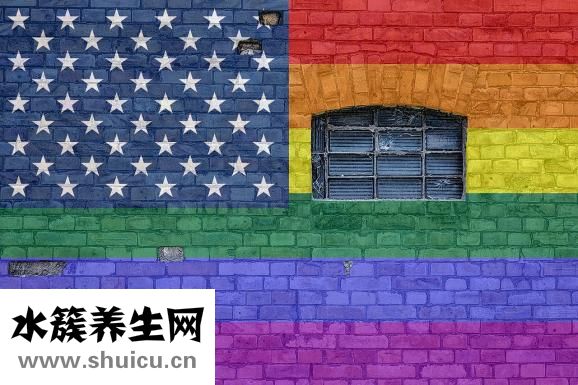一胎证怎么办理