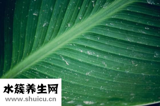 男生怎么瘦脸颊两侧