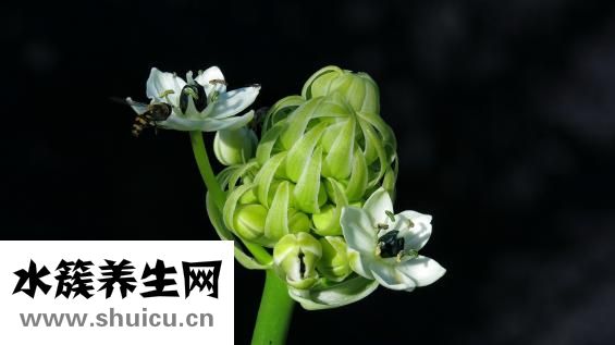冬天全身脱皮怎么办