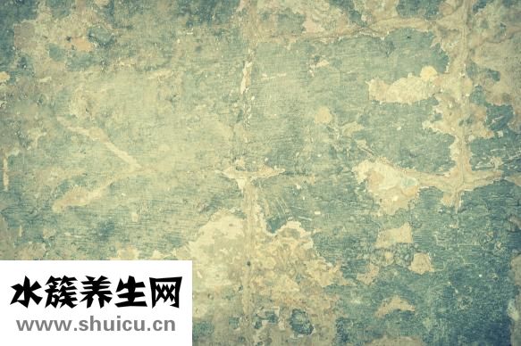 衣服怎么会生虫