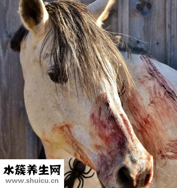 骨头增生怎么治