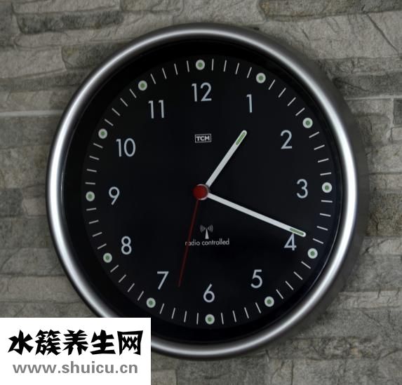 菌子怎么保存