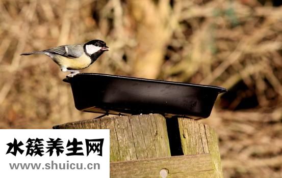 阴道角质怎么洗出来